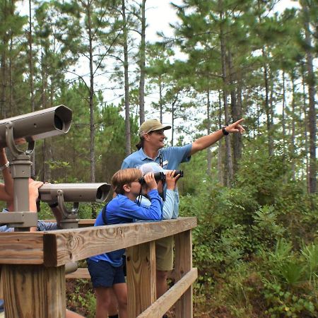 Eagle Cottages At Gulf State Park Gulf Shores Luaran gambar