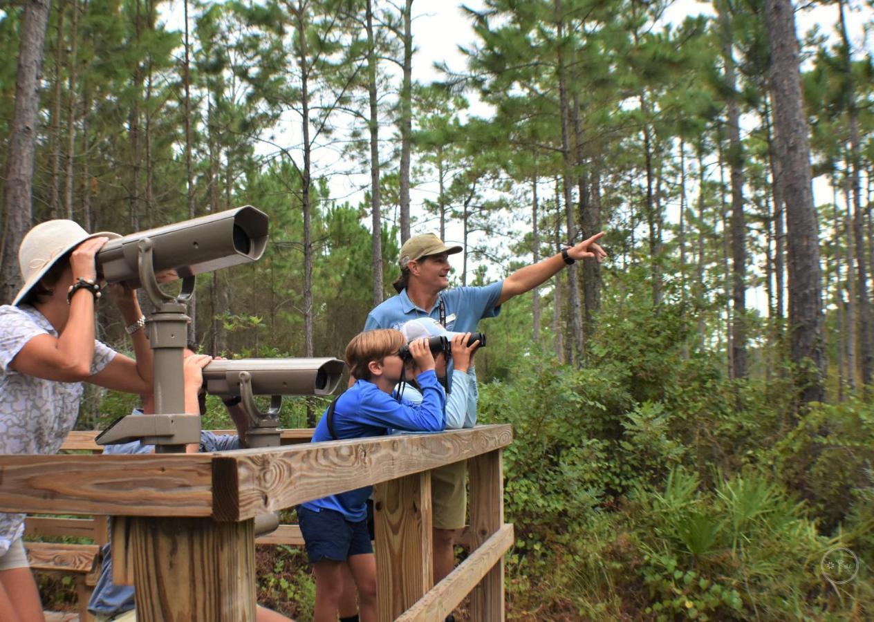 Eagle Cottages At Gulf State Park Gulf Shores Luaran gambar
